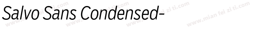 Salvo Sans Condensed字体转换